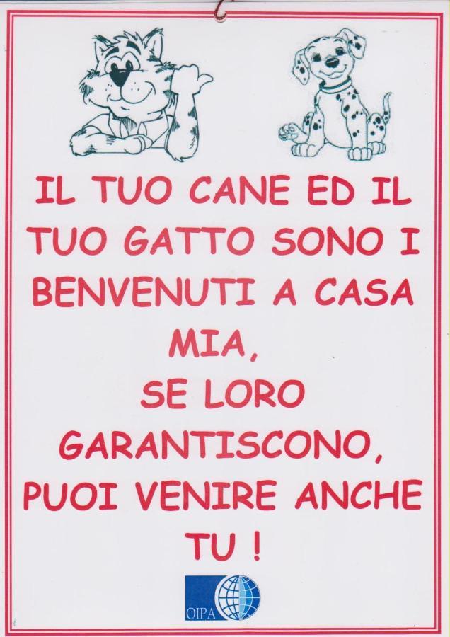 Bandabrisca *